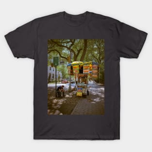 Central Park Fifth Avenue Manhattan NYC T-Shirt